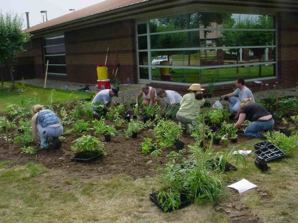 Walker Library Rain Garden Planting